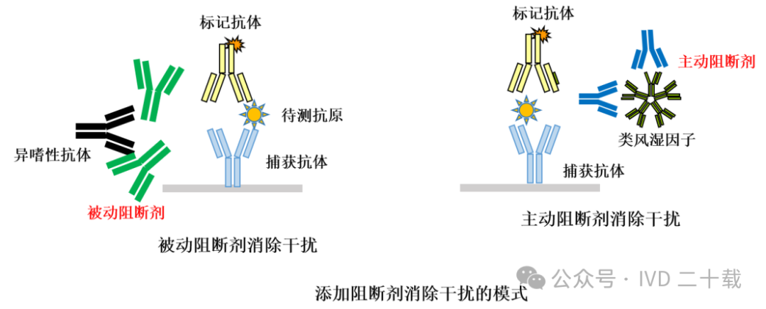异嗜性抗体3 异嗜性抗体3
