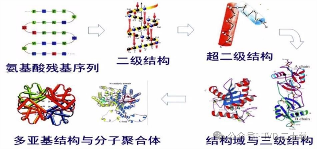 作用力1 作用力1