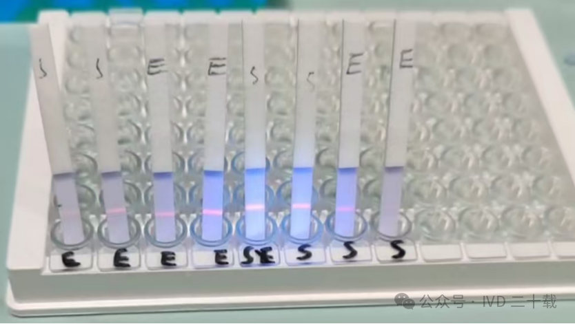 硝酸纤维素膜3 硝酸纤维素膜3