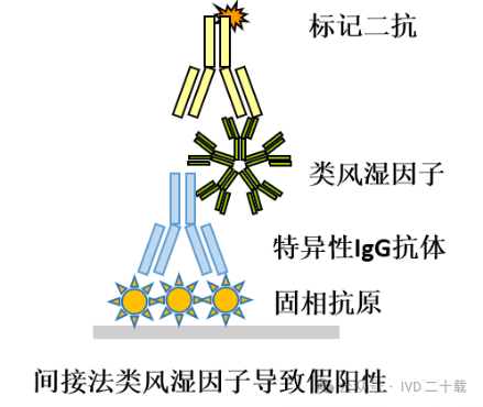 类风湿因子7 类风湿因子7