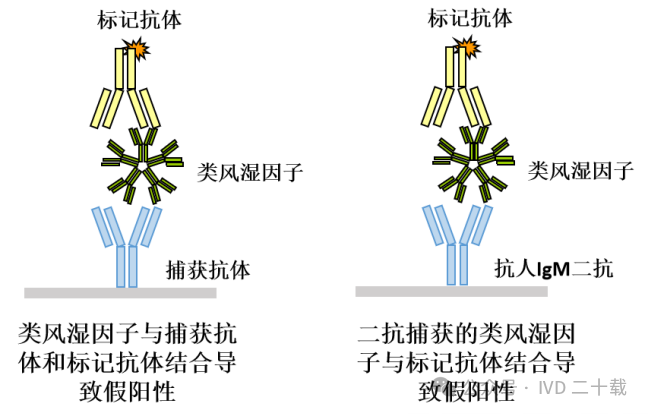类风湿因子8 类风湿因子8