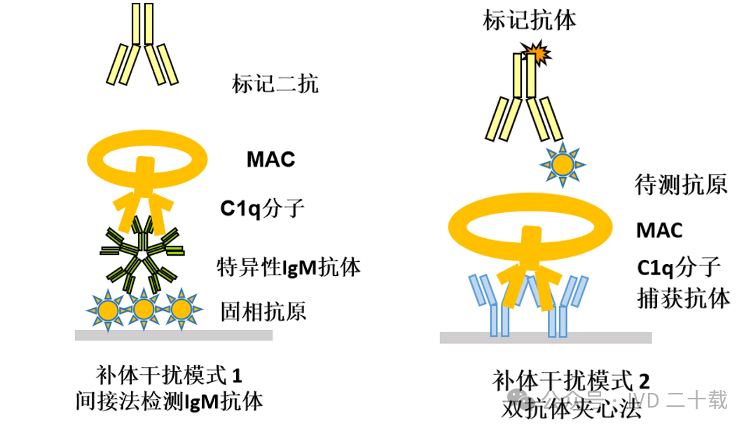 类风湿因子9 类风湿因子9
